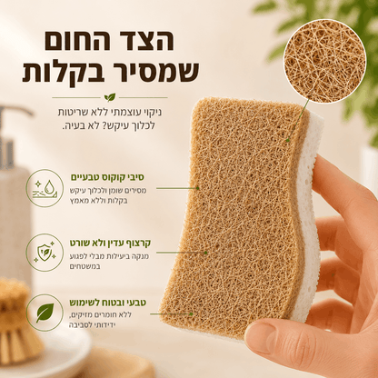 קוקונה - סקוצ הפלא