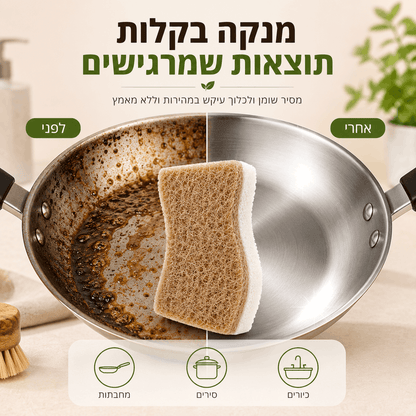 קוקונה - סקוצ הפלא