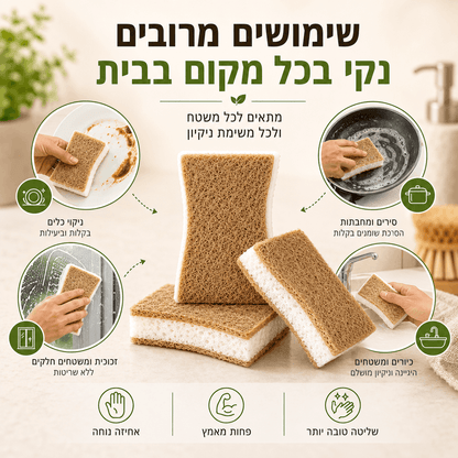 קוקונה - סקוצ הפלא